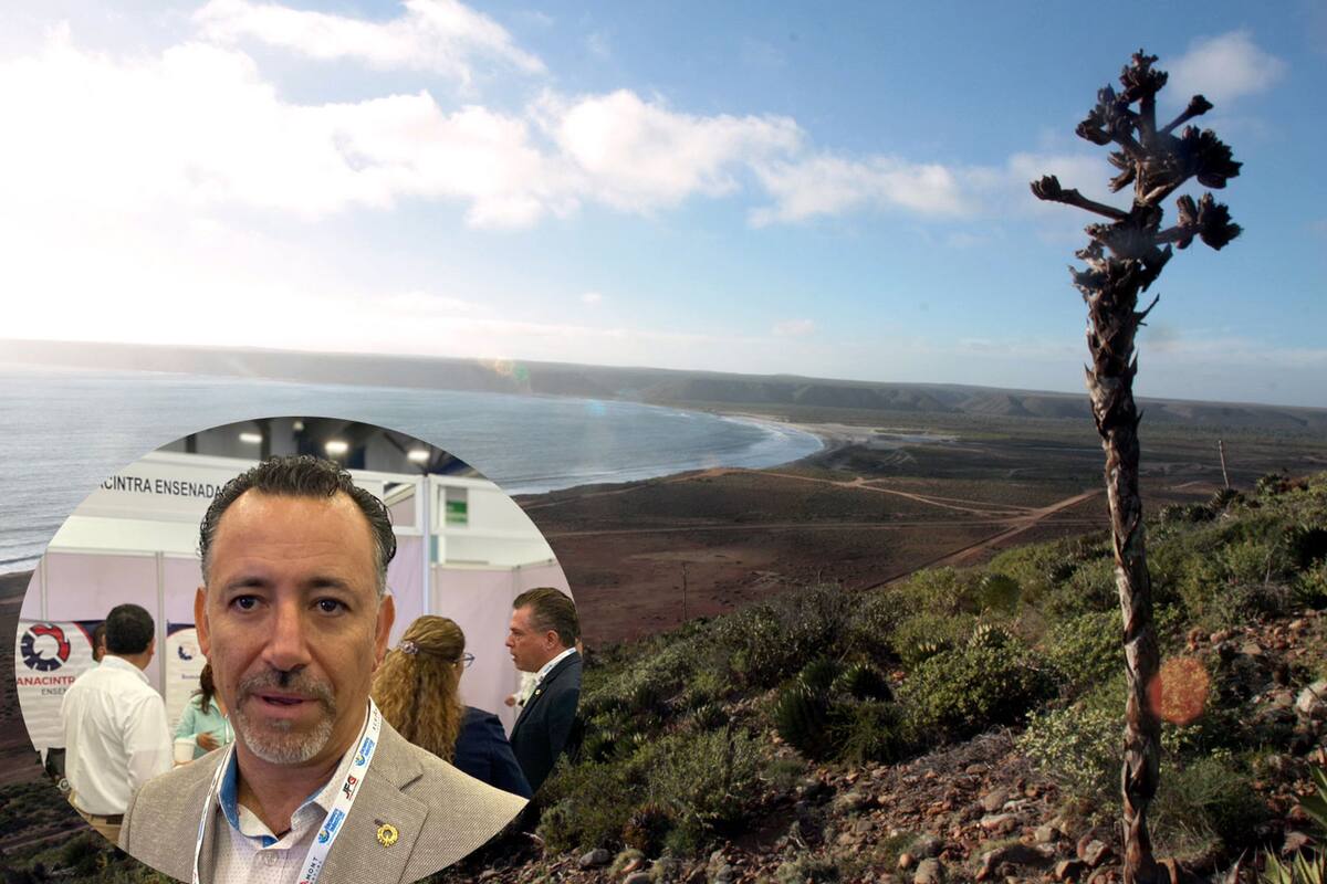 Falta información sobre Puerto Bahía Colonet: Canacintra Ensenada