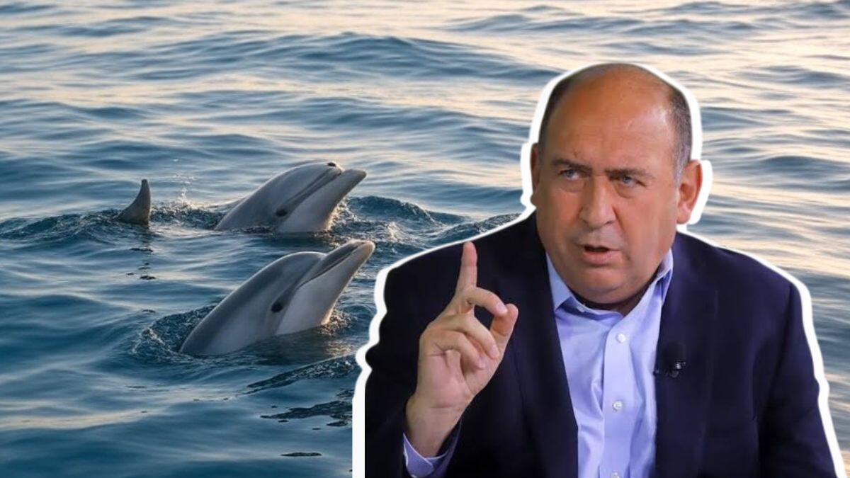 Rubén Moreira alerta sobre residuos de fentanilo en los océanos; en riesgo la vida marina y humana