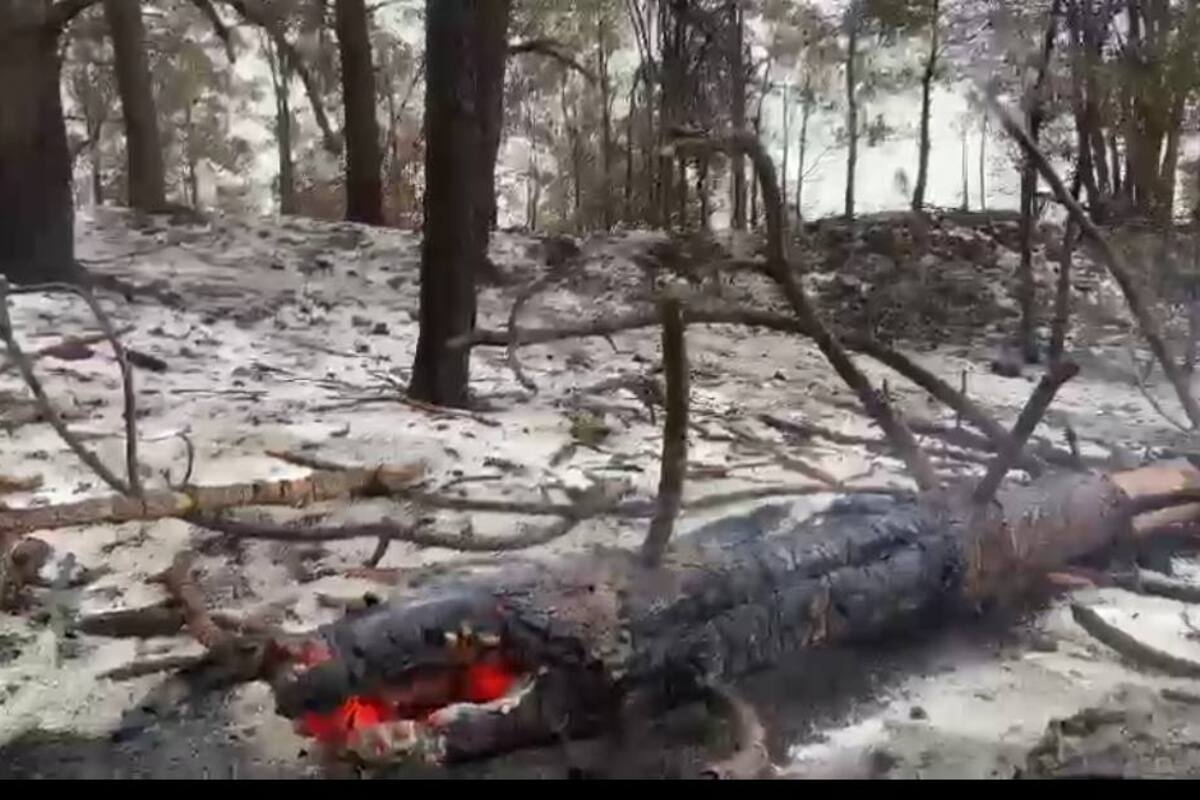 Cae aguanieve en Nácori Chico tras incendio forestal