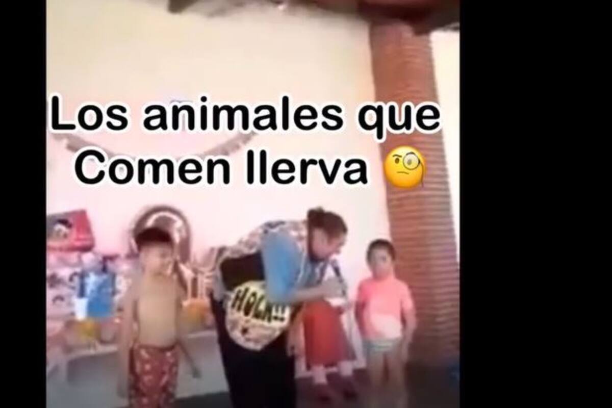 "¿Cómo se llaman los animales que comen hierbas?": Respuesta de niña se viraliza en TikTok