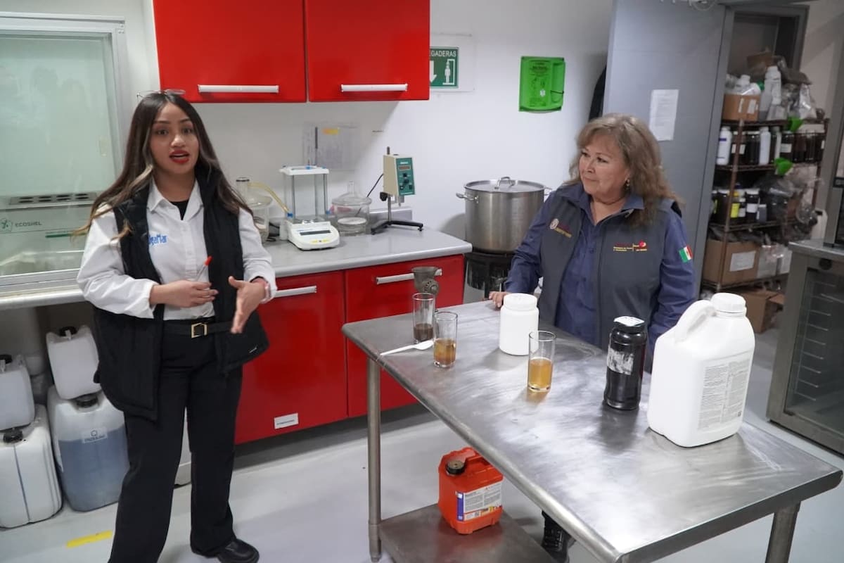 Realiza Sepesca visita estratégica para el aprovechamiento y transformación de macroalgas