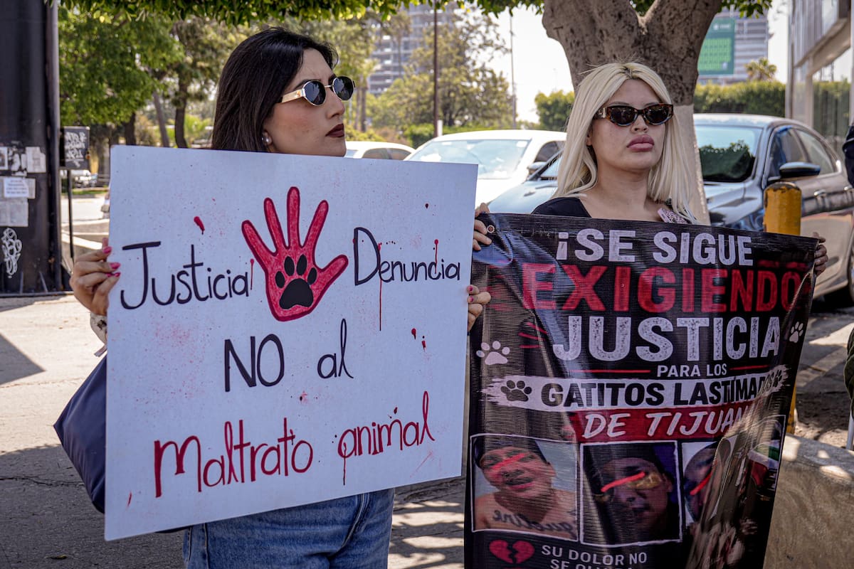 El responsable del acto de brutalidad animal fue dejado en libertad por la Fiscalía General del Estado. Foto: Leonardo González