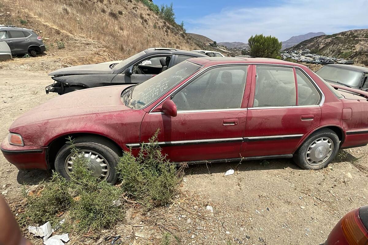 FGE recupera nueve vehículos robados en operativo de búsqueda en Rosarito