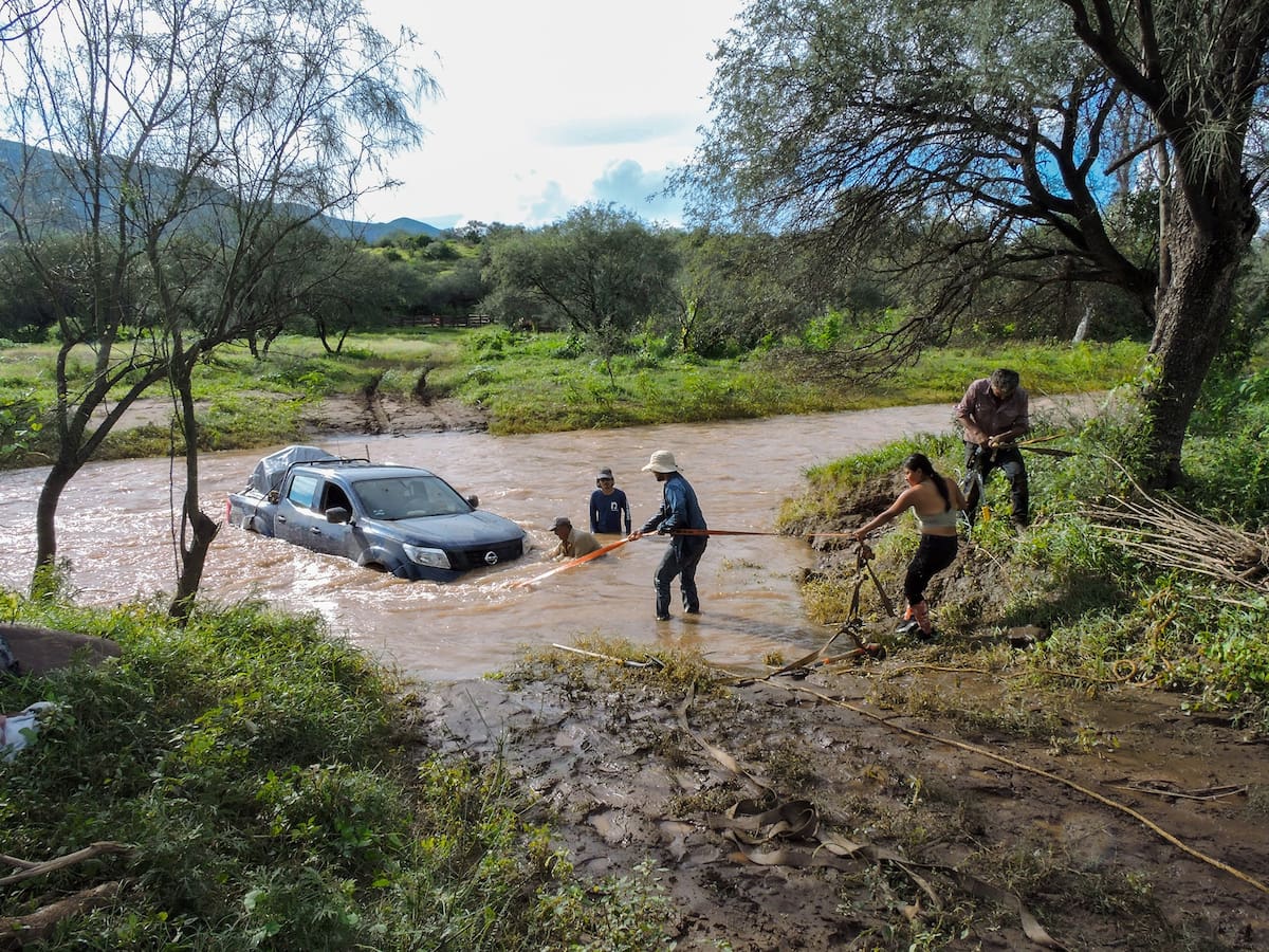Tras el robo de una unidad y fallas en su vehículo actual, Naturalia inició una colecta en línea para adquirir una camioneta que le permita seguir operando en áreas de difícil acceso. | Foto: Naturalia