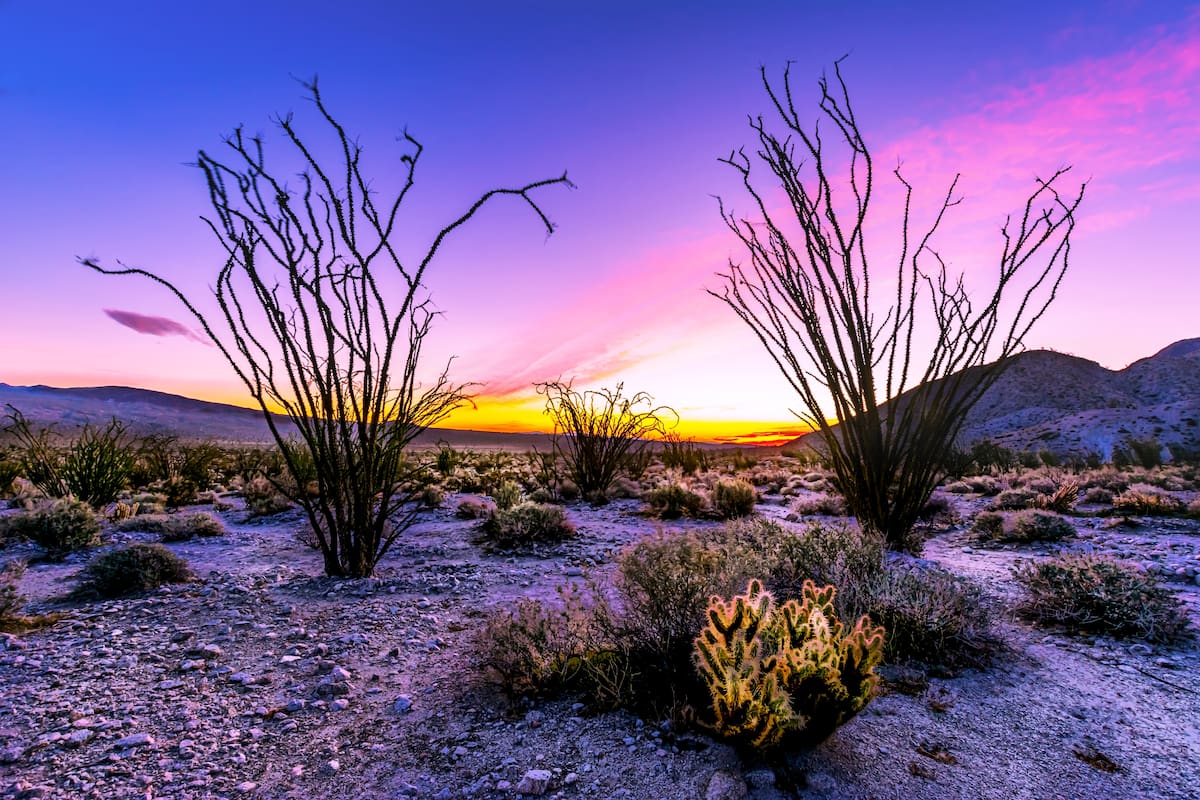 Goza de los mejores amaneceres en el estado del Gran Cañón