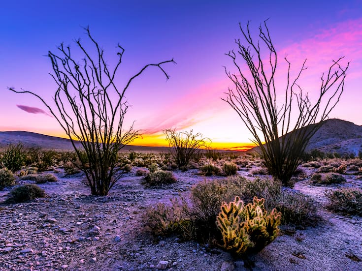 Goza de los mejores amaneceres en el estado del Gran Cañón