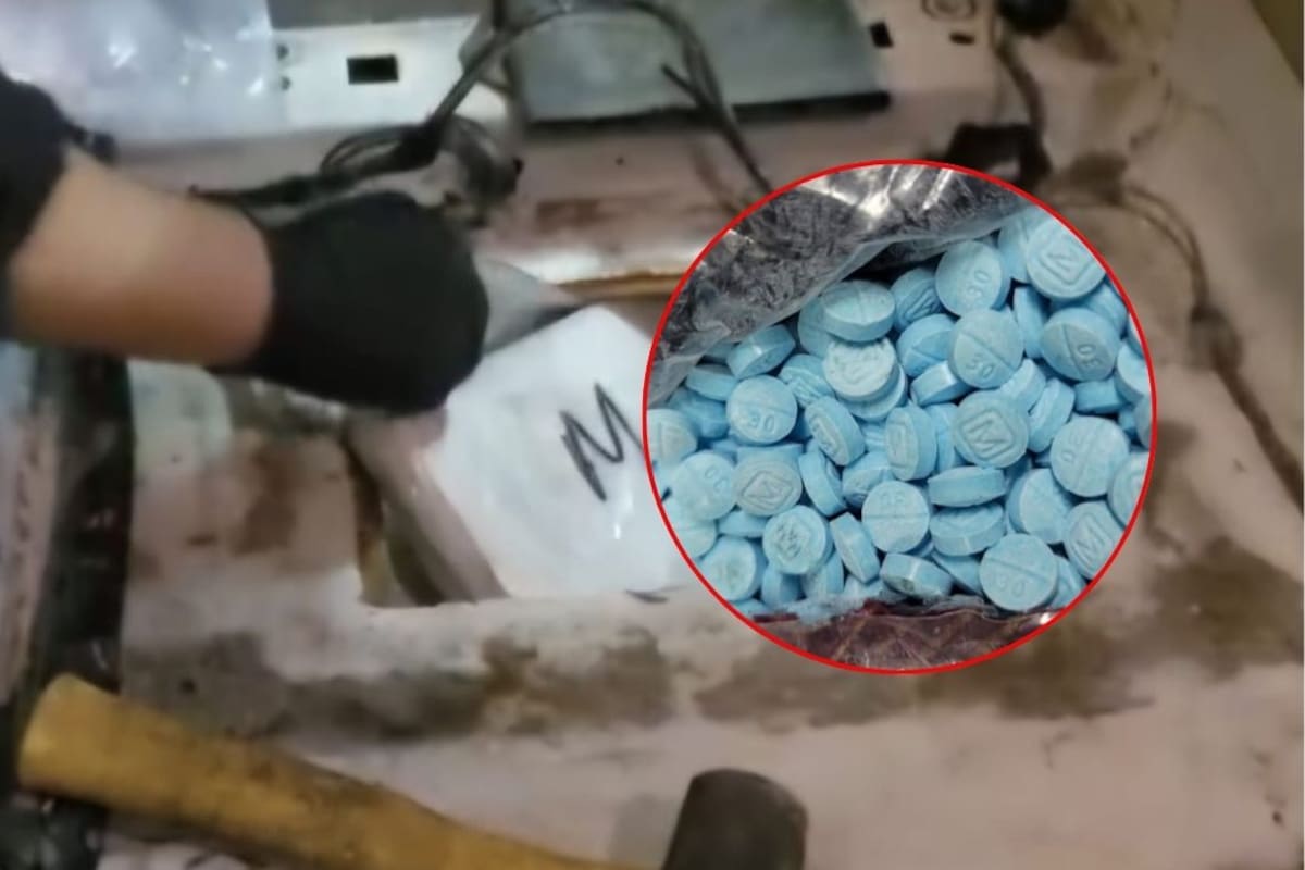 Interceptan cargamento con distintos narcóticos en garita de Nogales