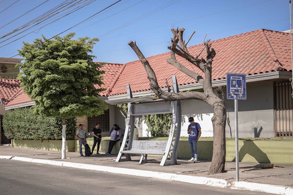 Usuarios evitan paraderos del camión por altas temperaturas