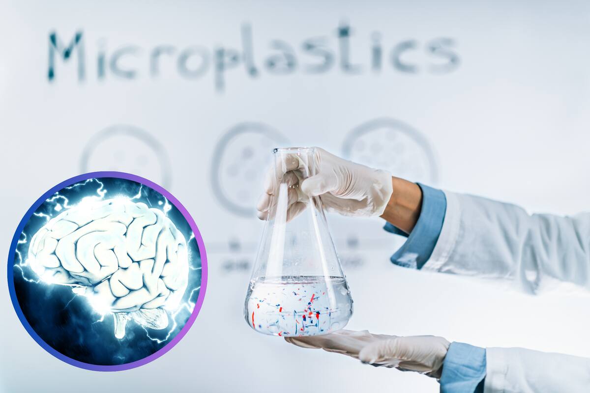 Cada vez hay más microplásticos en los cerebros de las personas, según estudios