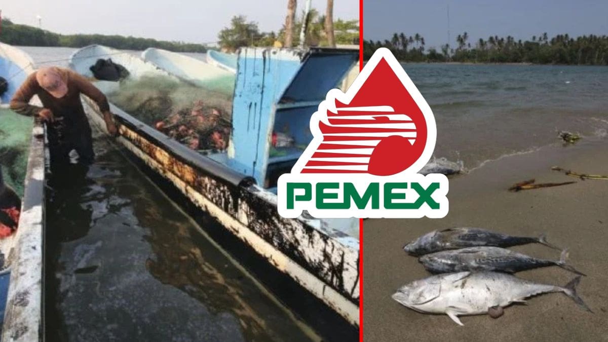 Más de 40 organizaciones ambientales exigieron al gobierno mexicano adoptar un nuevo modelo de desarrollo que no dependa del petróleo, ante los daños a los ecosistemas del Golfo de México y las afectaciones sociales causadas por la industria extractiva