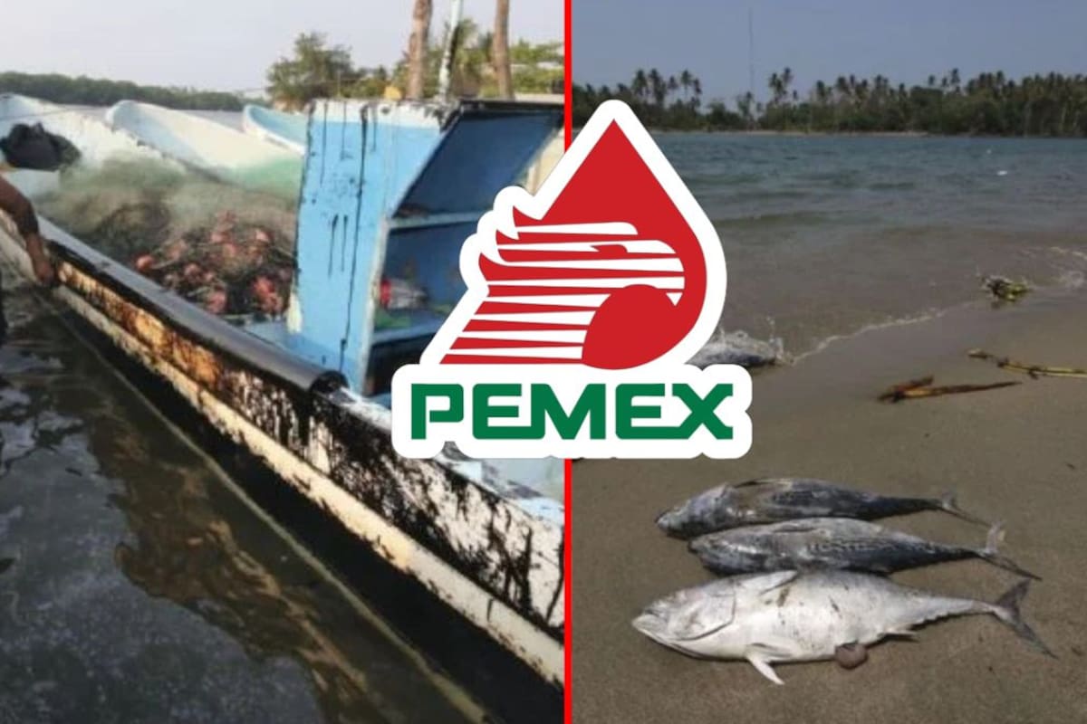 Pescadores de Tabasco denuncian abandono tras derrame de hidrocarburo; Pemex no ha resuelto los daños después de dos semanas