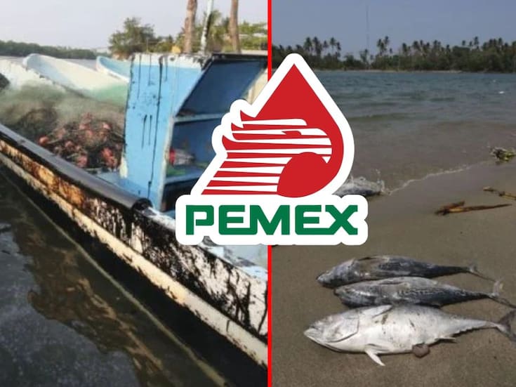 Más de 40 organizaciones ambientales exigieron al gobierno mexicano adoptar un nuevo modelo de desarrollo que no dependa del petróleo, ante los daños a los ecosistemas del Golfo de México y las afectaciones sociales causadas por la industria extractiva