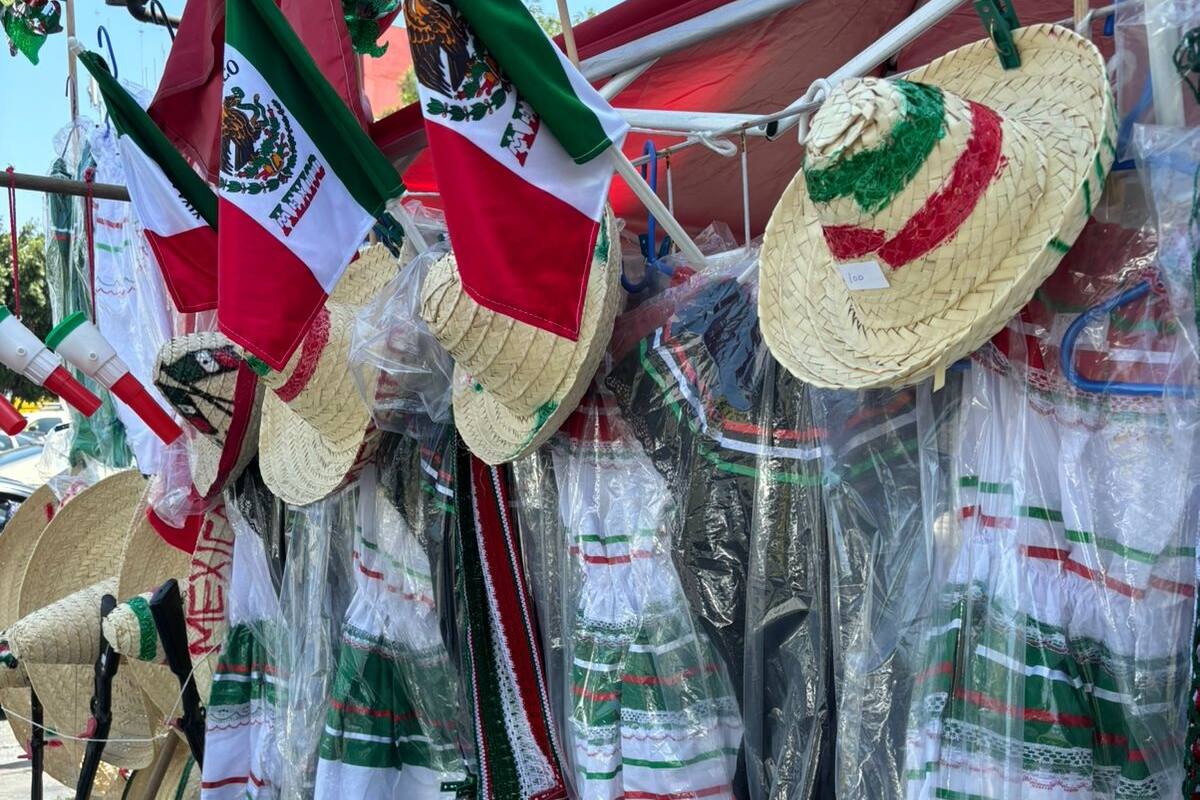 Vendedores ambulantes tienen altas expectativas por fiestas patrias