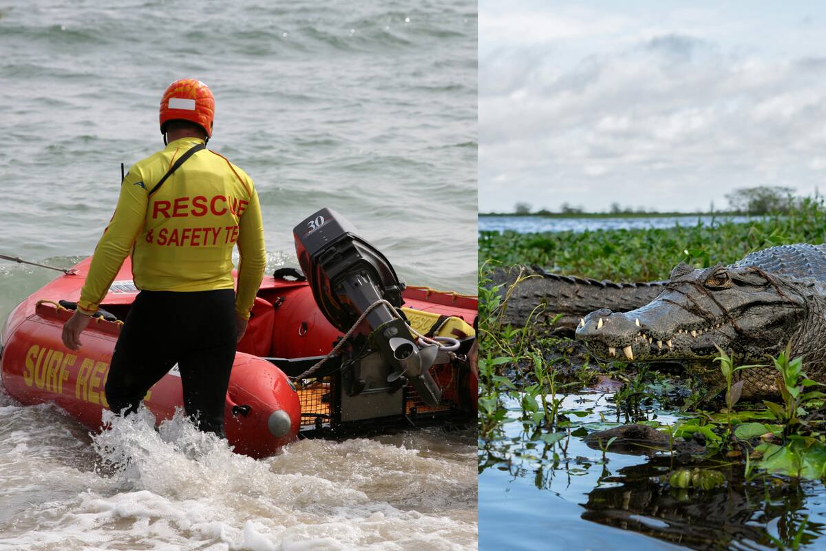Madre dejó que caimanes mataran a su hijo con autismo, tenía 12 años