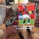 Video: Gatito conquista las redes al hacer el remo vikingo en apoyo a Erling Haaland delantero noruego