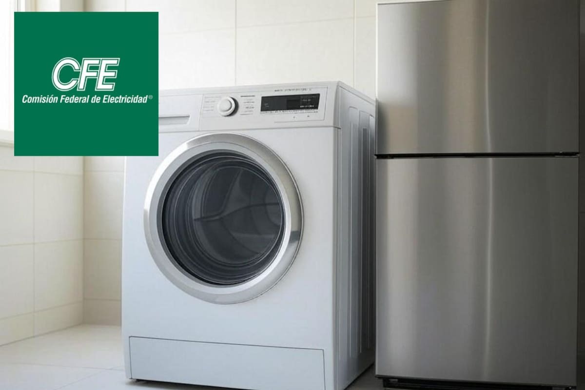 Moderniza tus electrodomésticos y ahorra energía mientras cuidas el medio ambiente con ayuda de la CFE