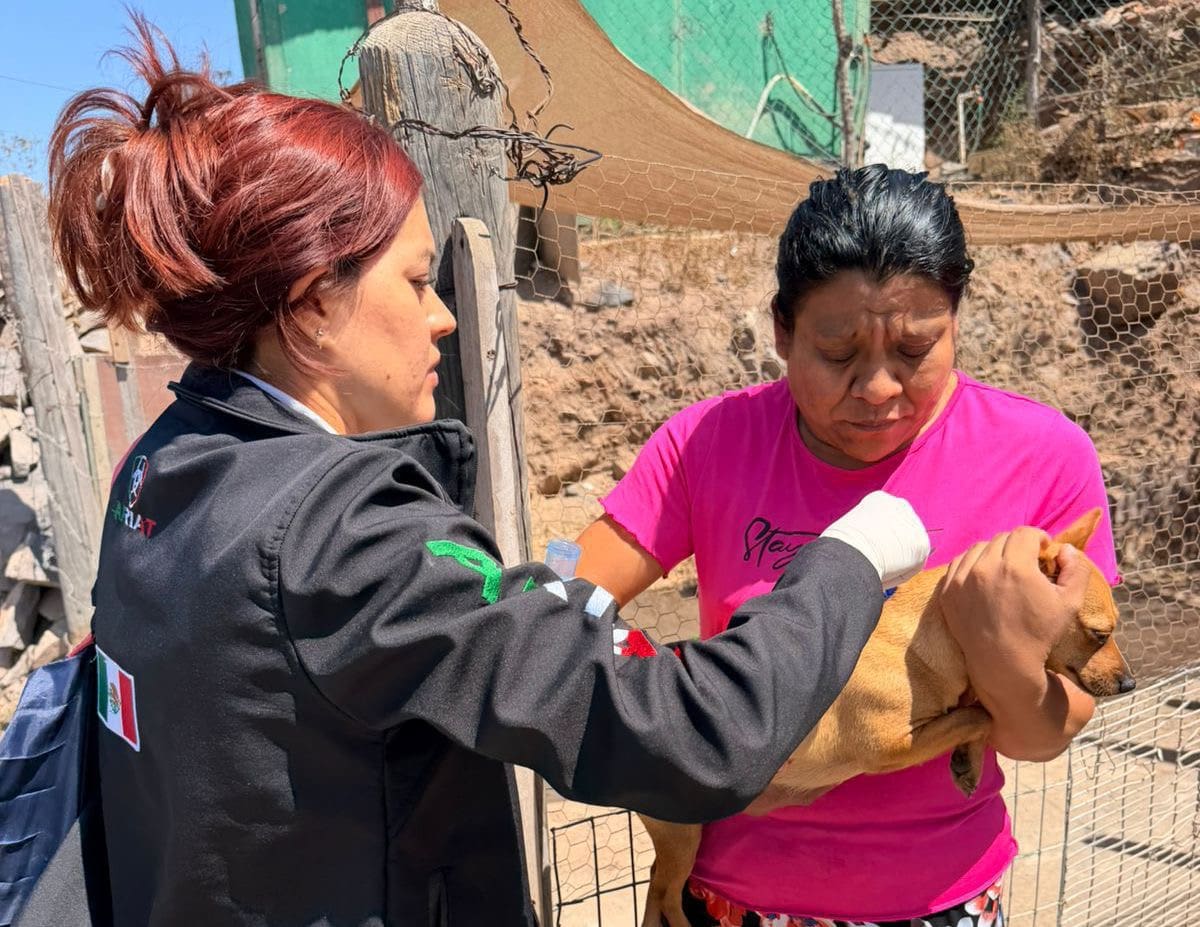 Personal de salud y autoridades municipales llevan a cabo acciones de retiro de cacharros y orientación preventiva en distintas colonias del municipio. Foto. Cortesía