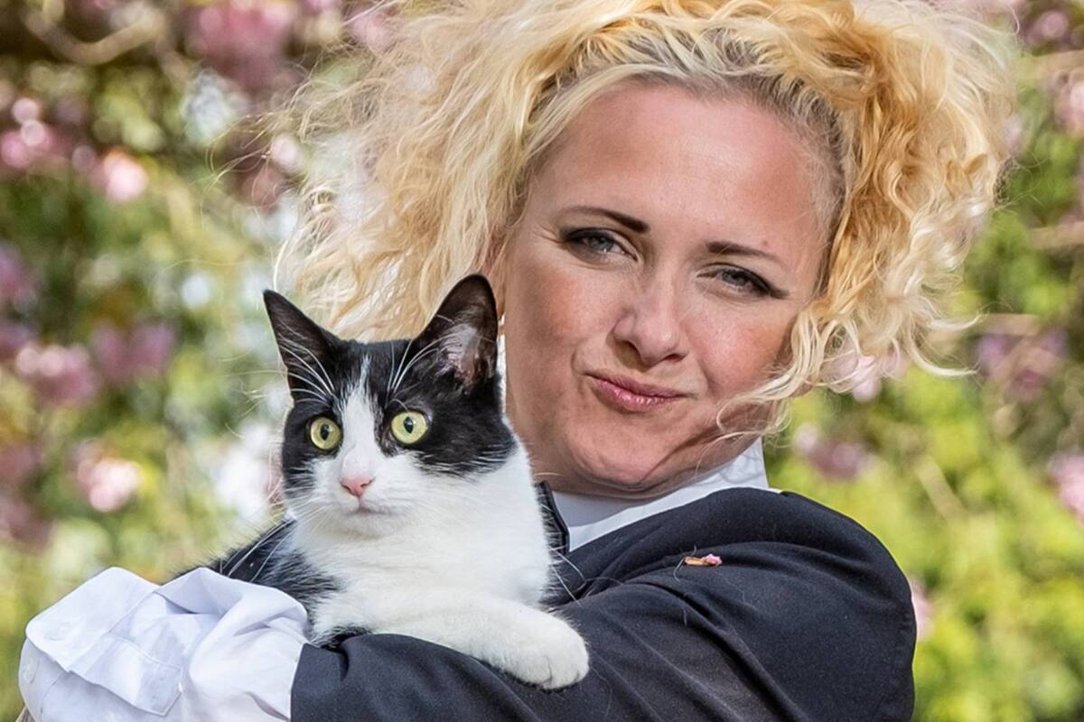 Mujer se casa con su gata para que arrendador no pueda separarlas