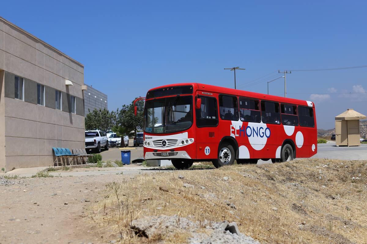 Informan sobre transporte público a Valle de Las Palmas