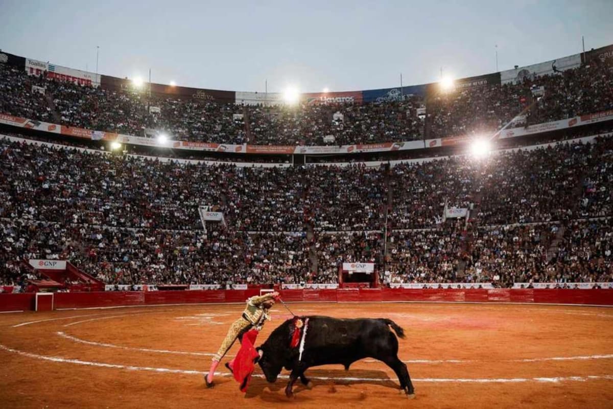 Corridas de toros regresan a la Plaza México entre protestas y lleno total en CDMX