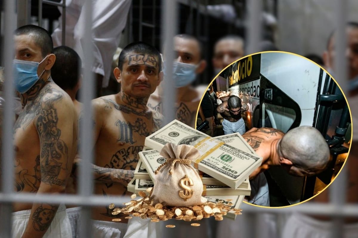Estados Unidos ofrece hasta 15 millones de dólares por dos líderes de la Mara Salvatrucha en Honduras: “El Porky” y “El Cuervo” cabecillas acusados de narcotráfico y violencia