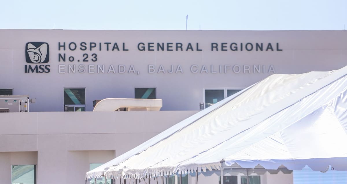 Foto: Alejandro Zepeda