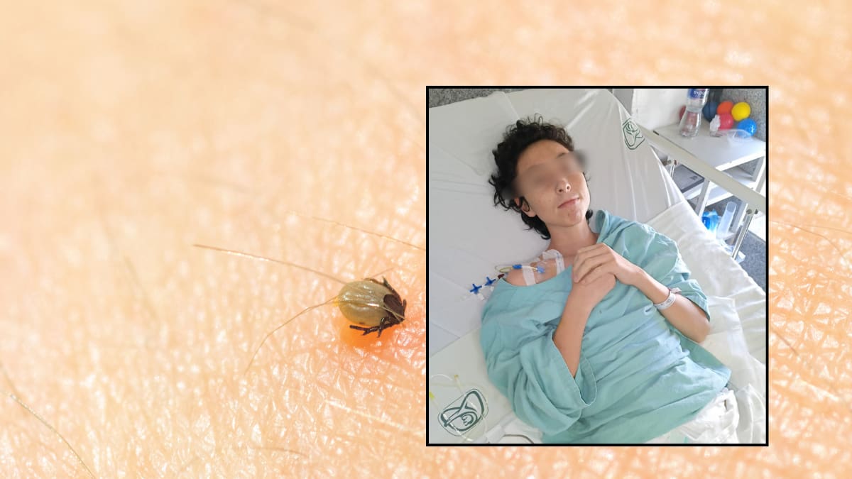 Padre jornalero solicita ayuda tras hospitalización de su hijo de 13 años por rickettsia en Hermosillo; la familia tuvo que desechar ropa y colchones por riesgo sanitario