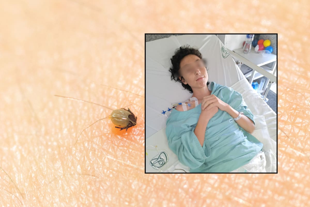 Padre jornalero solicita ayuda tras hospitalización de su hijo de 13 años por rickettsia en Hermosillo; la familia tuvo que desechar ropa y colchones por riesgo sanitario