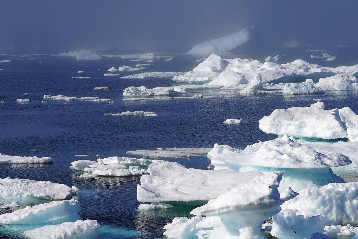 Tras ola de calor, preocupa el acelerado derretimiento de hielo en Groenlandia; sube el nivel del mar