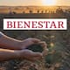 La Secretaría de Agricultura publicó en el Diario Oficial de la Federación el estatuto de la Productora de Semillas para el Bienestar (Prosebien), un nuevo organismo que busca impulsar la producción nacional de semillas