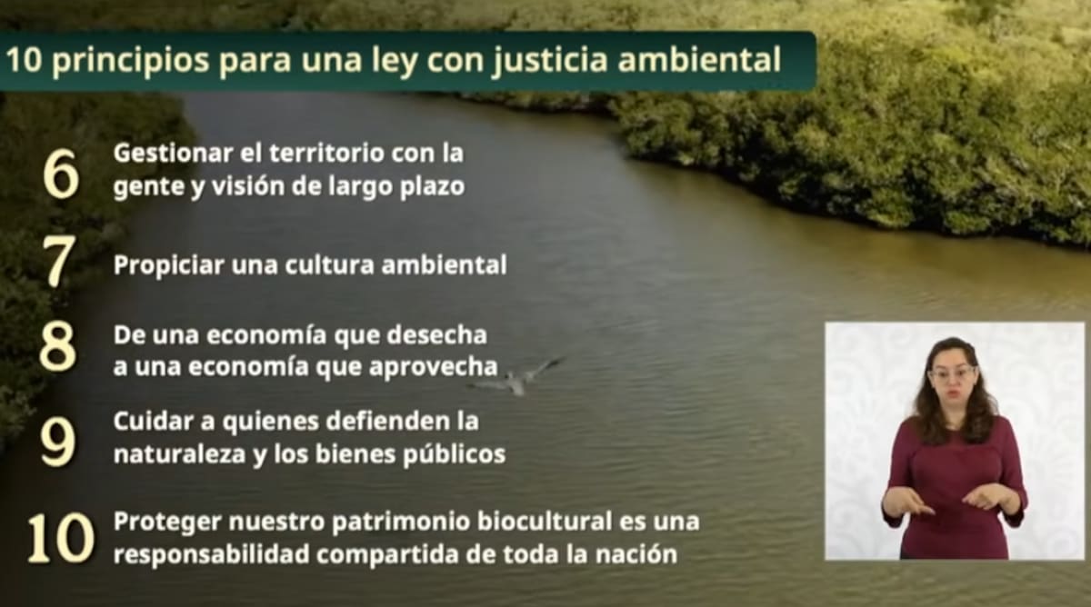 Semarnat resumió la propuesta en 10 principios para una ley con justicia ambiental. | Captura de pantalla