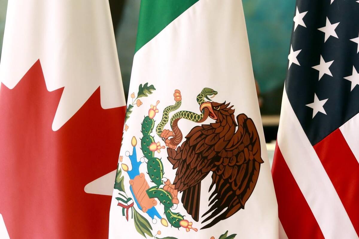 Legisladores estadounidenses acusan a México de "violar el espíritu" del T-MEC