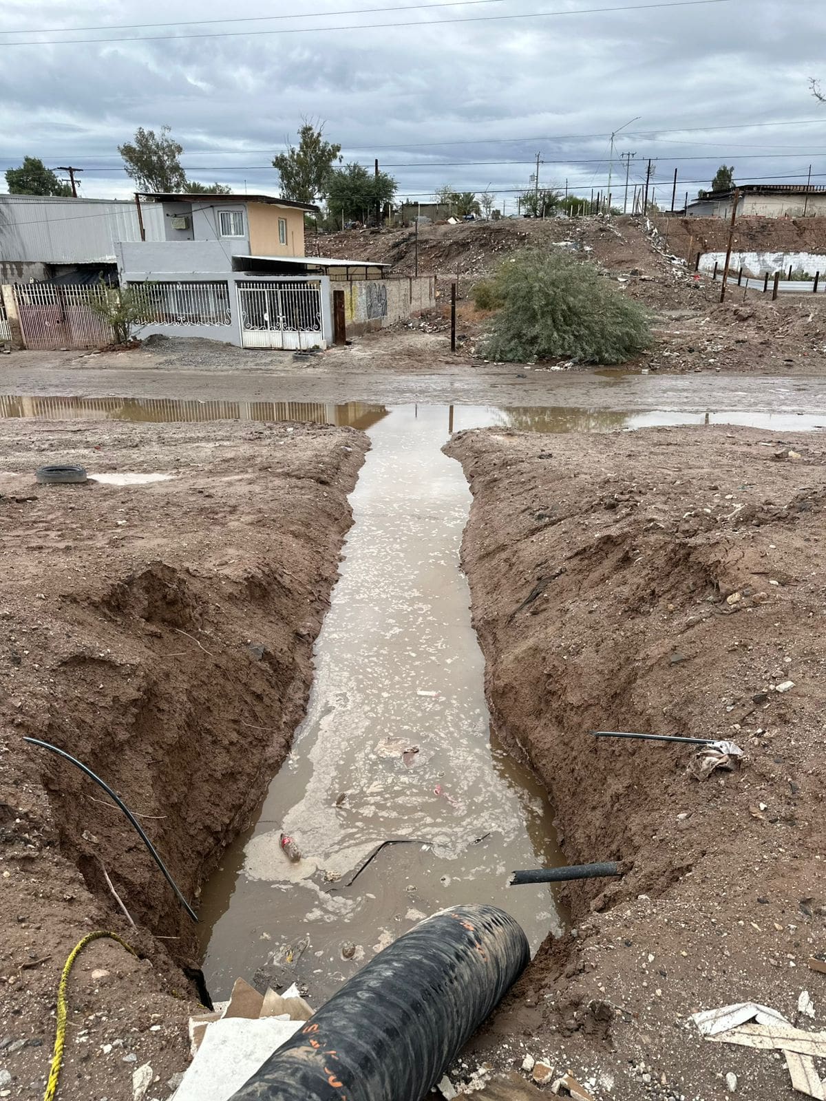 Foto: Fernando Guerrero.