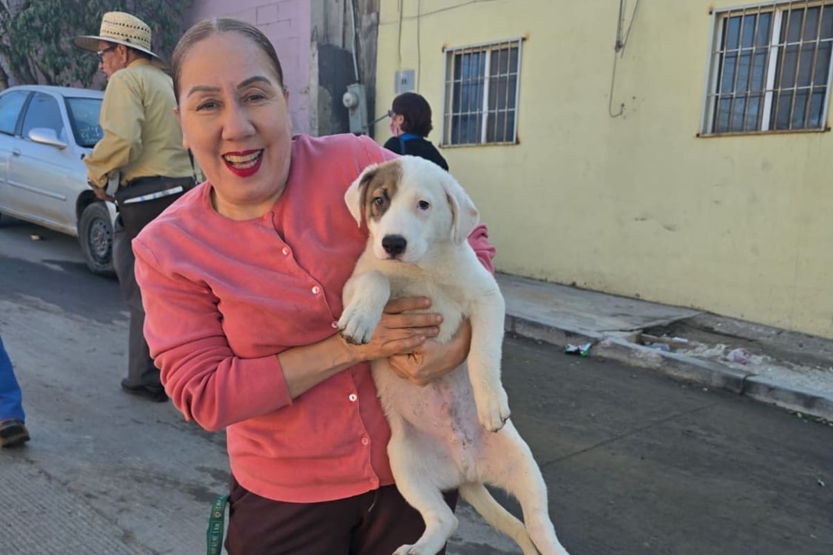 Trabaja, educa a sus hijos y es activista