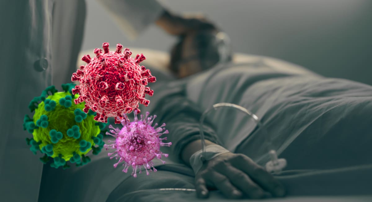 Ciclosporiasis en Estados Unidos: autoridades explican cómo se contagia el parásito Cyclospora cayetanensis y qué síntomas requieren atención médica