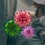 Estados Unidos confirma las primeras dos muertes por diarrea explosiva causada por el parásito Cyclospora cayetanensis