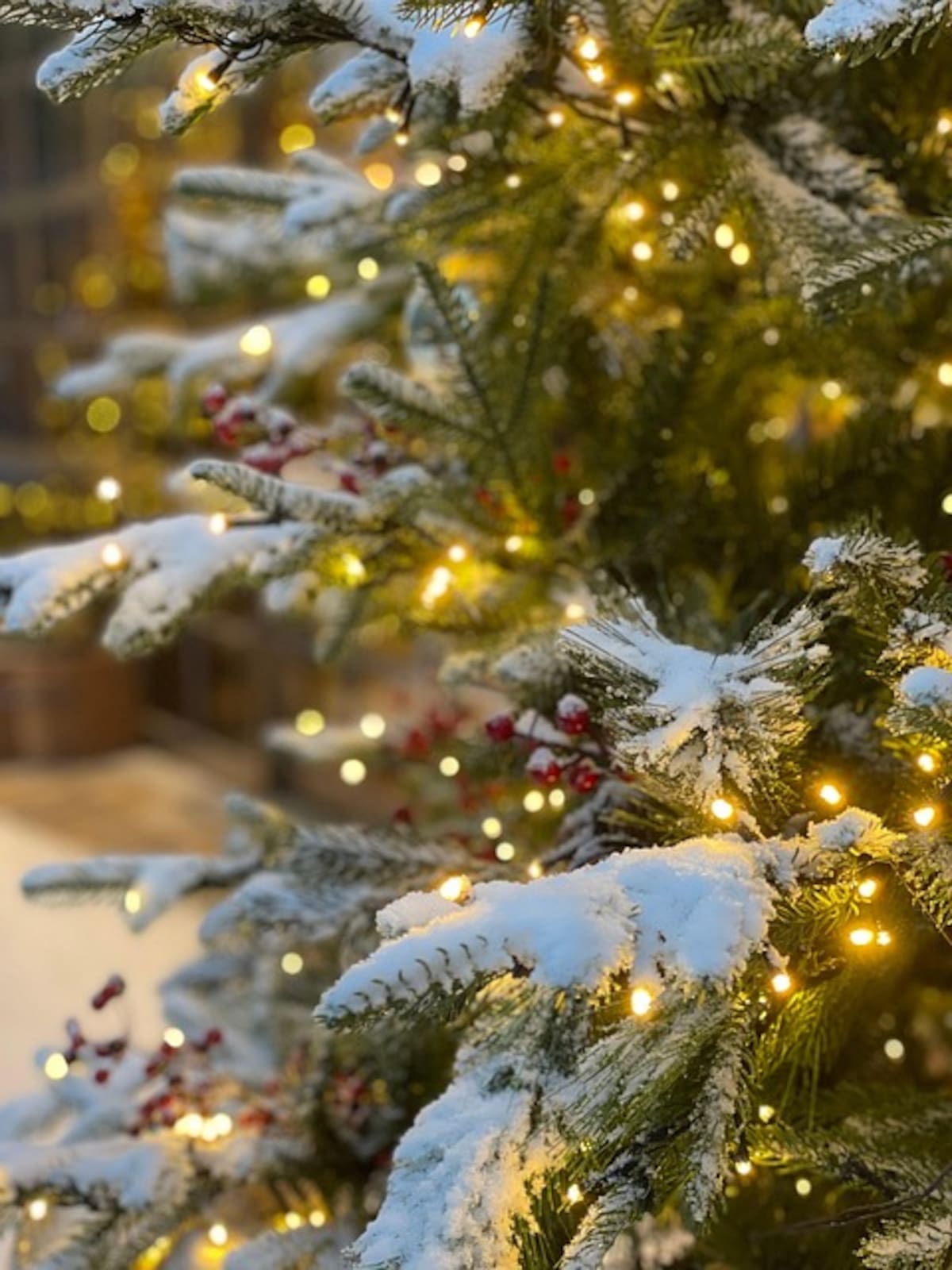 Los 5 colores tendencia para decorar tu hogar esta Navidad | Foto: Pixabay