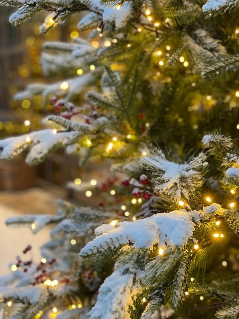 La ceremonia, una tradición anual que cumplía su edición número 28, estaba programada para incluir la presencia de Santa Claus y la Sra. Claus, camiones de comida, la proyección de El Grinch y un espectáculo de fuegos artificiales, de acuerdo con el sitio web oficial de la ciudad. Foto: Pixabay