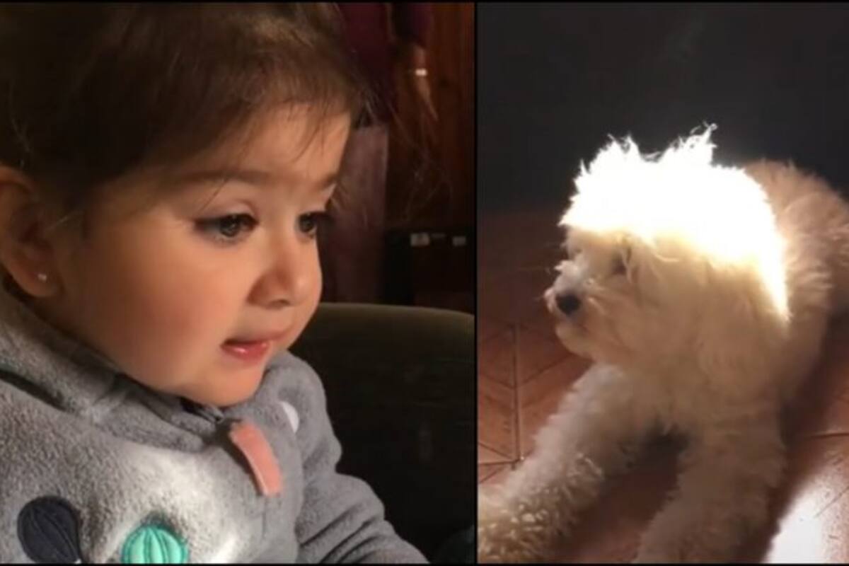 Niña se preocupa de que su perrita Blanca esta muy cerca de la estufa
