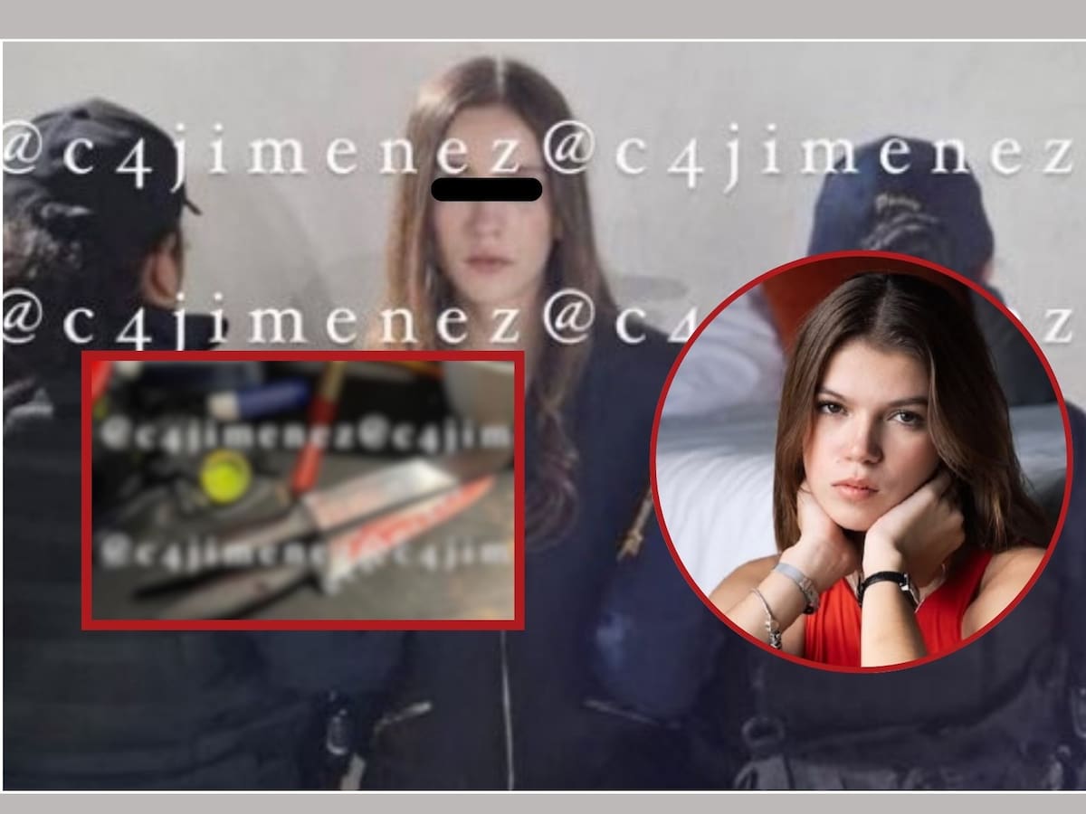 El caso de la influencer Marianne Gonzaga, detenida por apuñalar a la novia de su ex pareja, ha reavivado el debate sobre la "Ley Mya". | Crédito: X @c4jimenez/IG @vale.gilabert