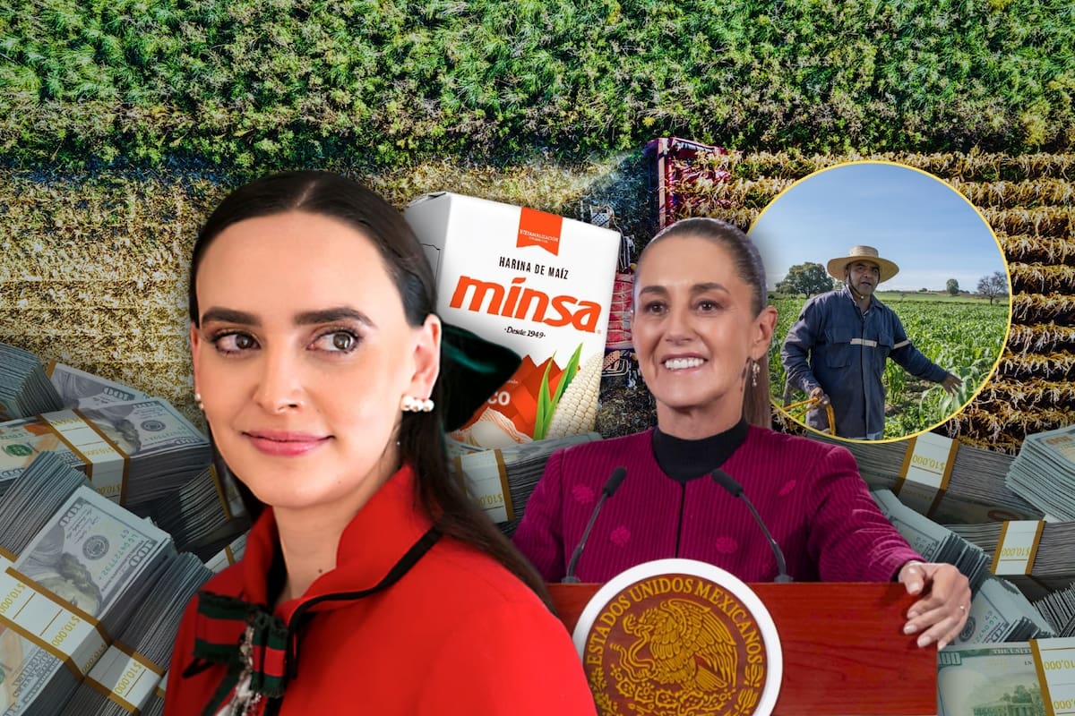 Ante el nuevo contrato de 369 millones de pesos de Altagracia Gómez con Claudia Sheinbaum, PAN exige una auditoría a la asesora de la presidenta y la acusa de ser “la consentida del régimen”, además de que señalaron que por su culpa no logran garantizar un precio justo a productores de maíz