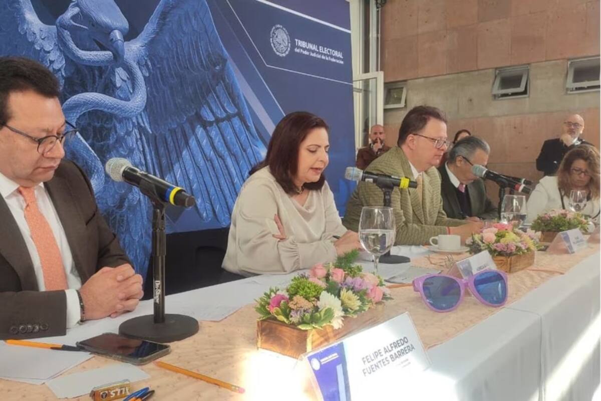 Tribunal Electoral podría anular una elección por injerencia de crimen organizado, advierte