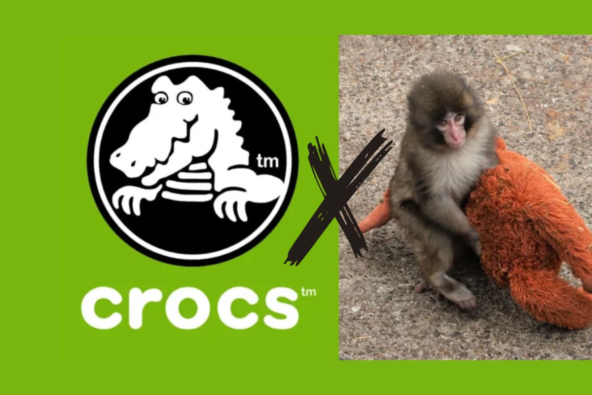 Crocs sorprende con un pin inspirado en Punch, el monito viral de Japón