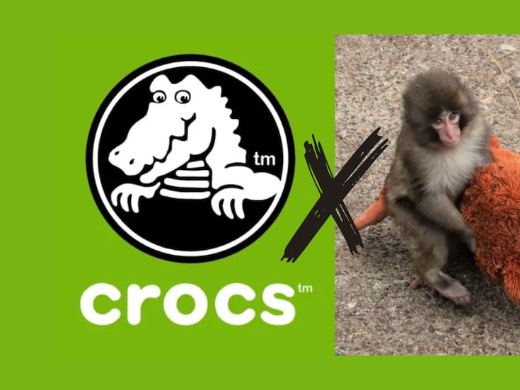 Crocs sorprende con un pin inspirado en Punch, el monito viral de Japón