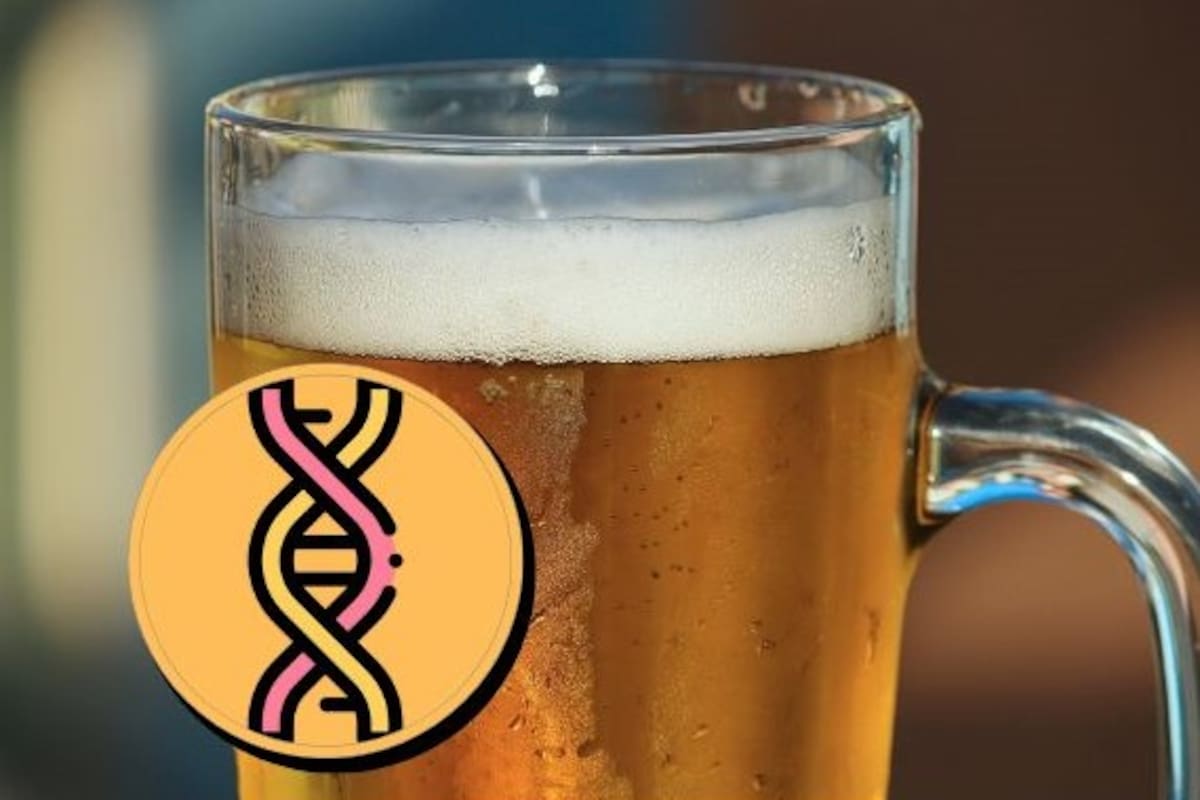 ¿Por qué a algunas personas no les gusta la cerveza?