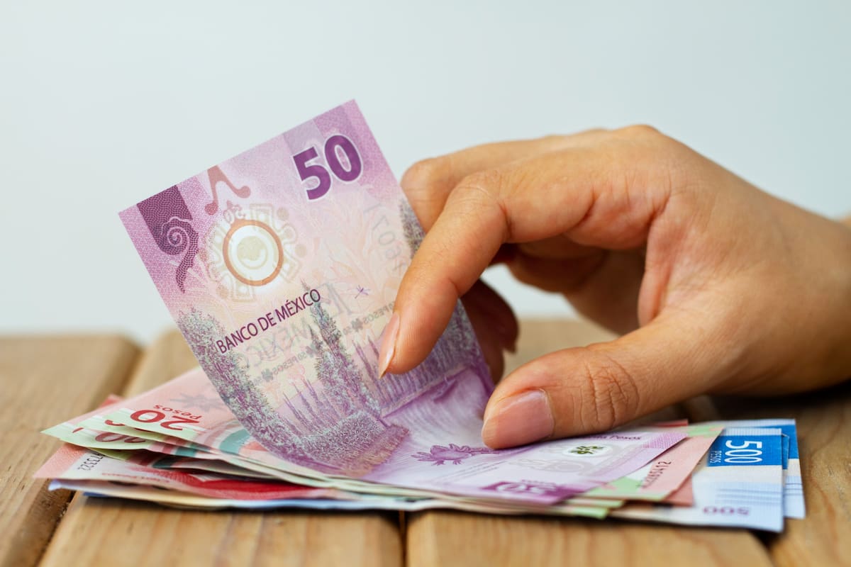 Para evitar la carga financiera del regreso a clases que ocurre una vez al año, expertos recomiendan ahorrar durante todo el año, conforme un presupuesto del dinero que se estima se necesitará para todos estos gastos. | Foto: Magnific