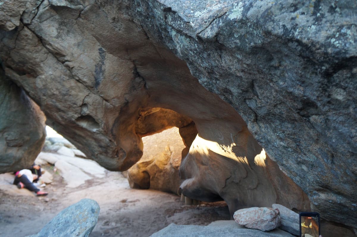 “Hibernar” es un verbo que se usa principalmente en biología. Significa pasar el invierno en un estado de inactividad profunda, con disminución notable de la temperatura corporal, del ritmo cardiaco y de las funciones vitales. Foto: Cortesía