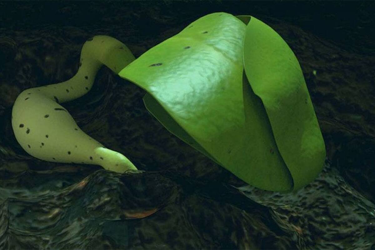 Agricultura espacial: La primera planta que se cultivó en la luna