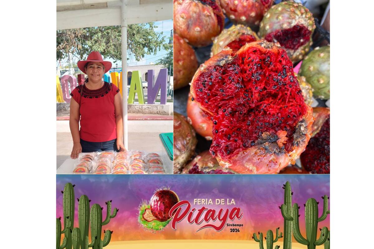 ¡Todo listo para la Feria de la Pitaya en Navojoa!: ¿Cuándo es y que actividades habrá?