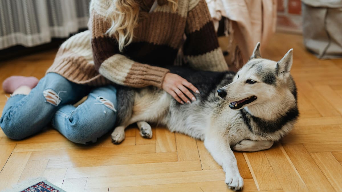 En niños y adolescentes favorece la empatía, la convivencia y el desarrollo emocional; en adultos mayores reduce la soledad, promueve la actividad física y da estructura a la rutina diaria/Foto: Canva
